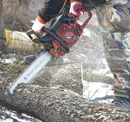 NJ Tree Trimming Service, Tree Removal, Crane Service NJ