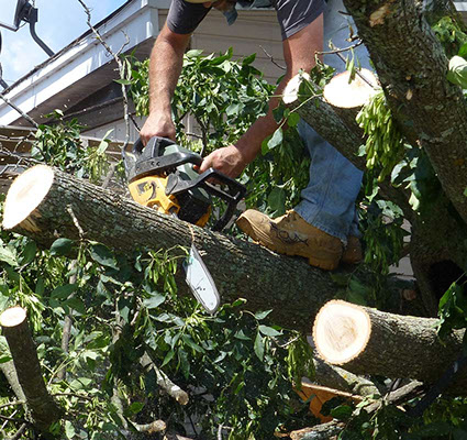 NJ Tree Trimming Service, Tree Removal, Crane Service NJ