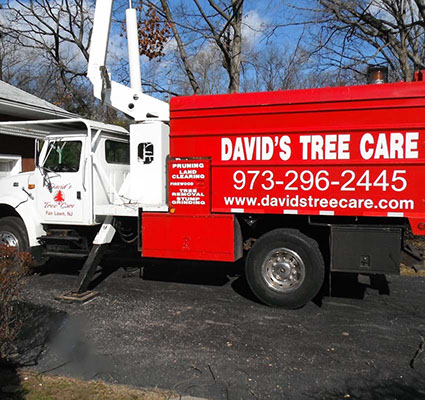 NJ Tree Trimming Service, Tree Removal, Crane Service NJ
