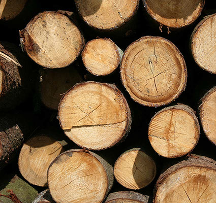 NJ Tree Trimming Service, Tree Removal, Crane Service NJ