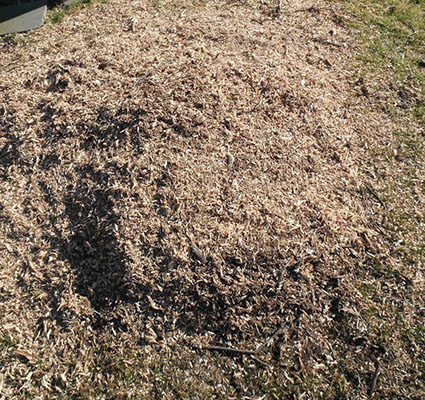 NJ Tree Trimming Service, Tree Removal, Crane Service NJ