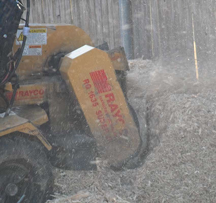 NJ Tree Trimming Service, Tree Removal, Crane Service NJ