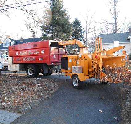NJ Tree Trimming Service, Tree Removal, Crane Service NJ